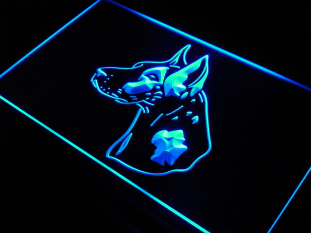 Harlequin Great Dane Dog Pet Neon Light Sign